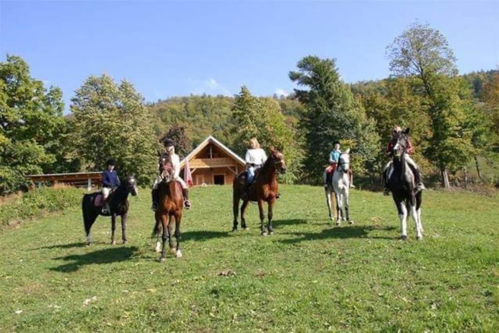 Cottage Zirovnica Luaran gambar